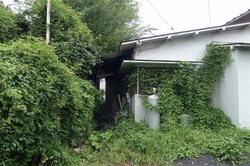 空き家の庭の手入れ